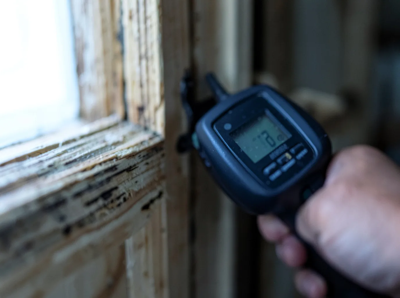 Commercial Water Damage Restoration in Mascotte, FL